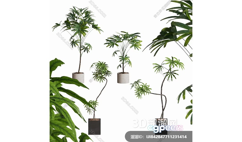 Green Plants In Pots 3D Model - 12895 - VRAY Render Green Plants In Pots 3D Model - 12895 - VRAY Render