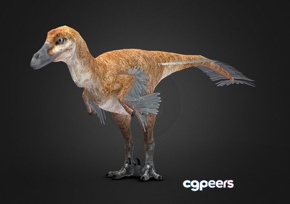 3D Game Assets - Velociraptor Mongoliensis Rigged 3D Game Assets - Velociraptor Mongoliensis Rigged