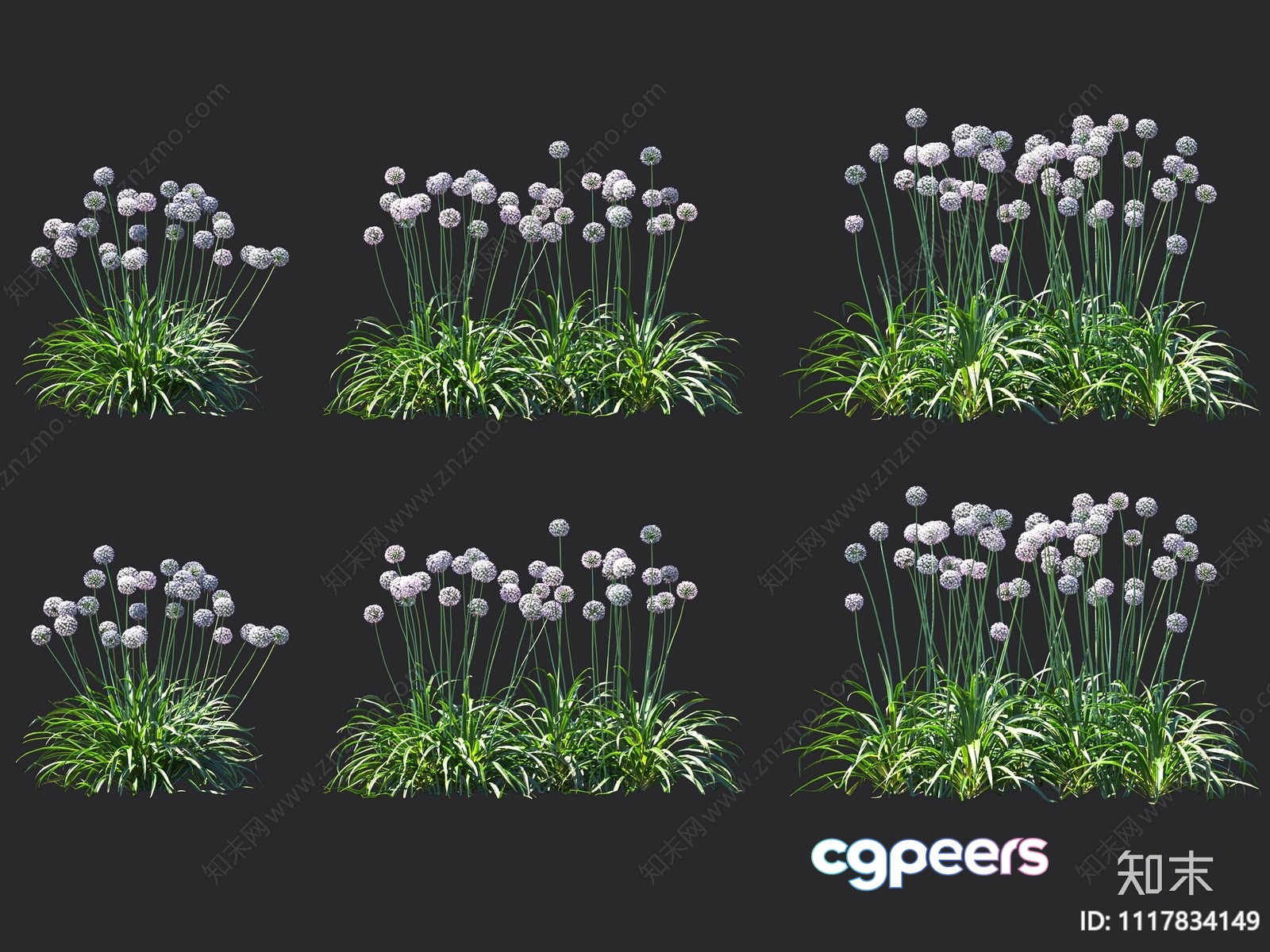 Flowers And Grass 3D Model - 9026 - VRAY Render