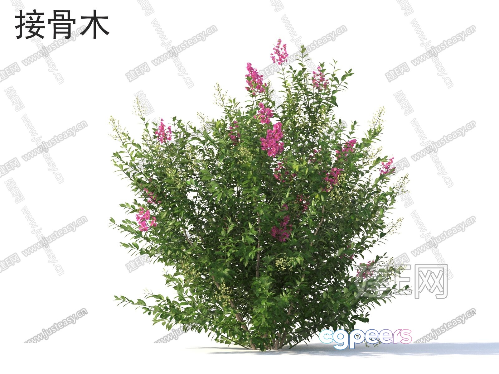 A Bush With Pink Flowers 3D Model - 3740 - VRAY Render A Bush With Pink Flowers 3D Model - 3740 - VRAY Render