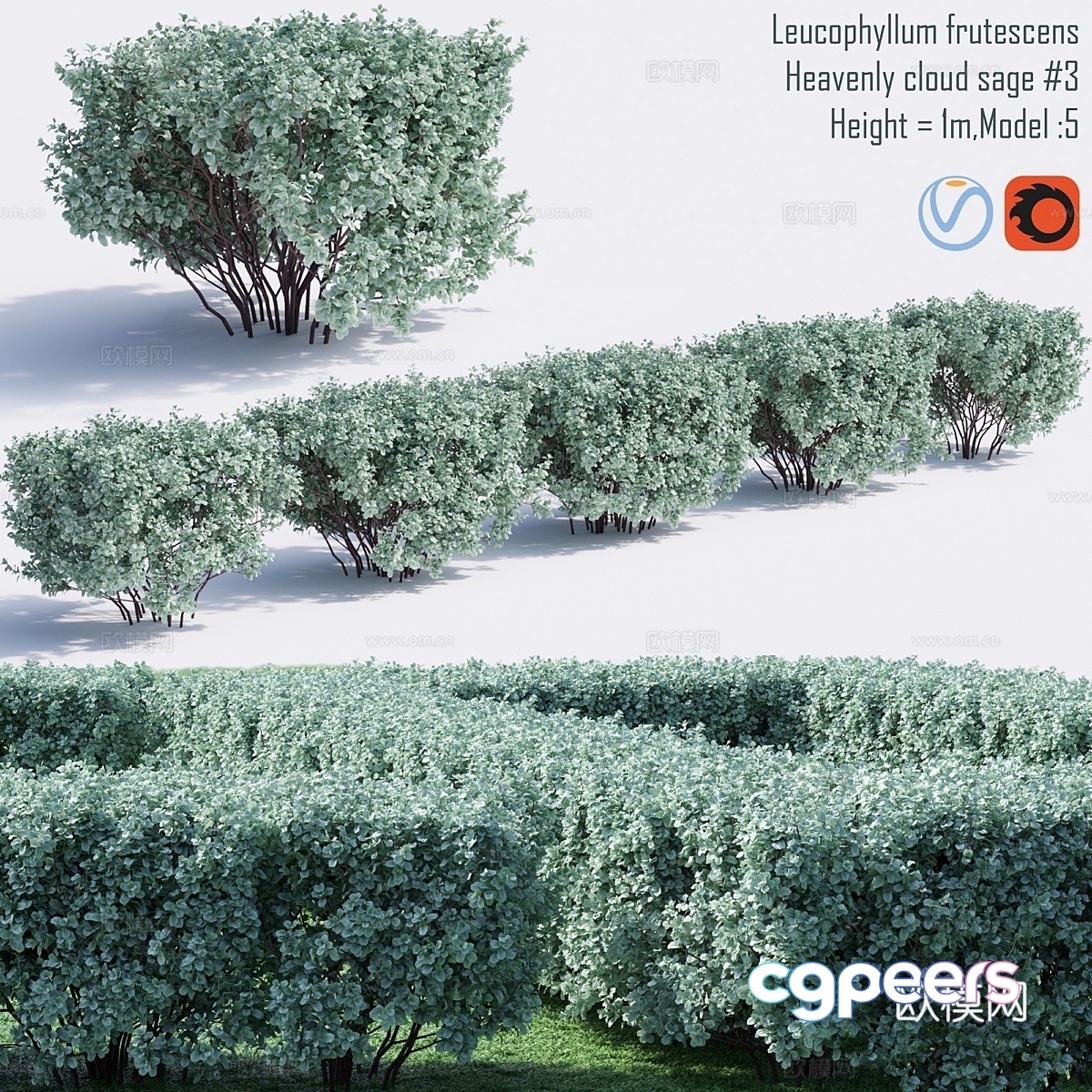 A 3D Rendering Of A Lush Green Bush With Leaves 3D Model - 22142 - VRAY Render A 3D Rendering Of A Lush Green Bush With Leaves 3D Model - 22142 - VRAY Render
