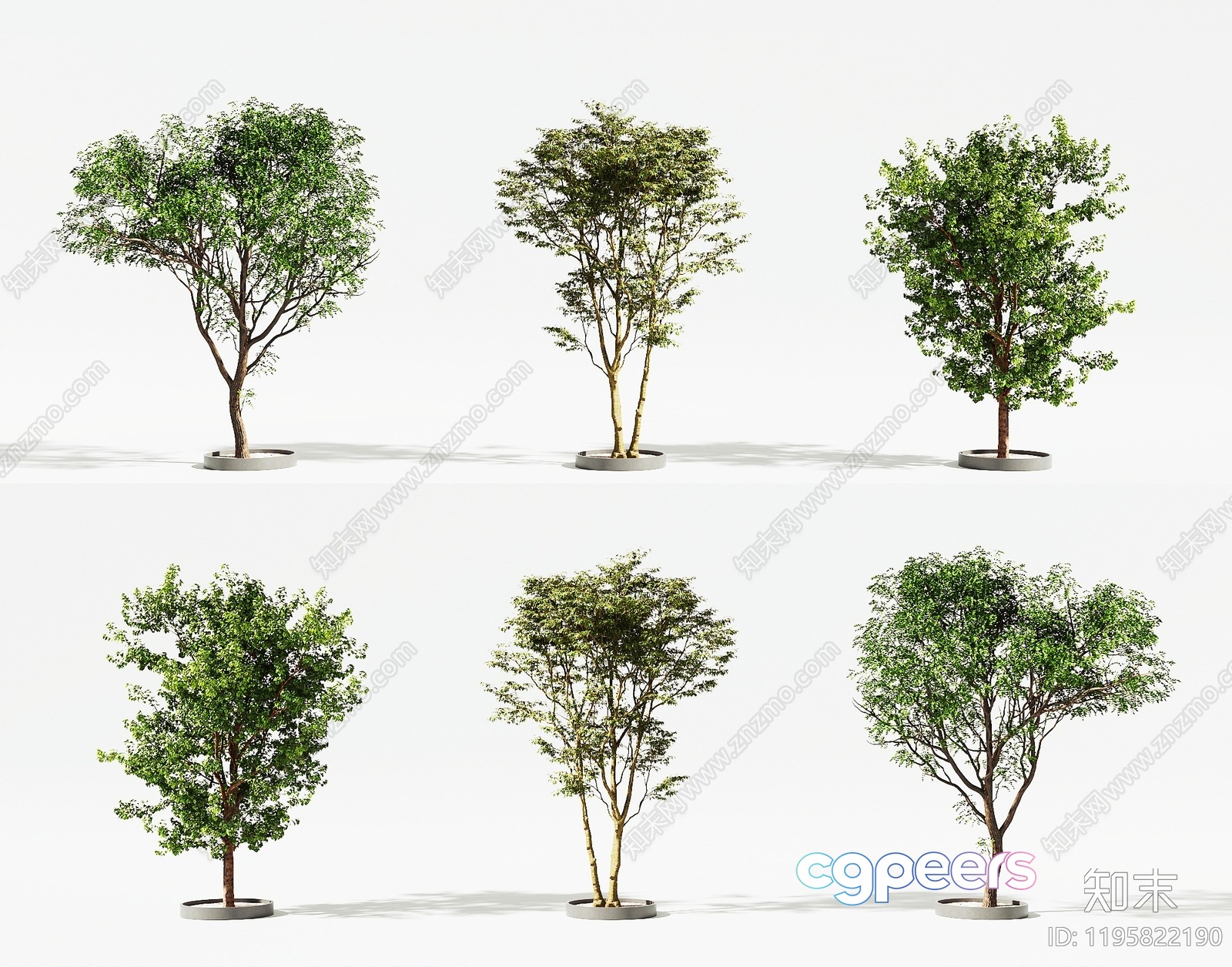 A Tree In A Pot 3D Model - 618 - CORONA Render