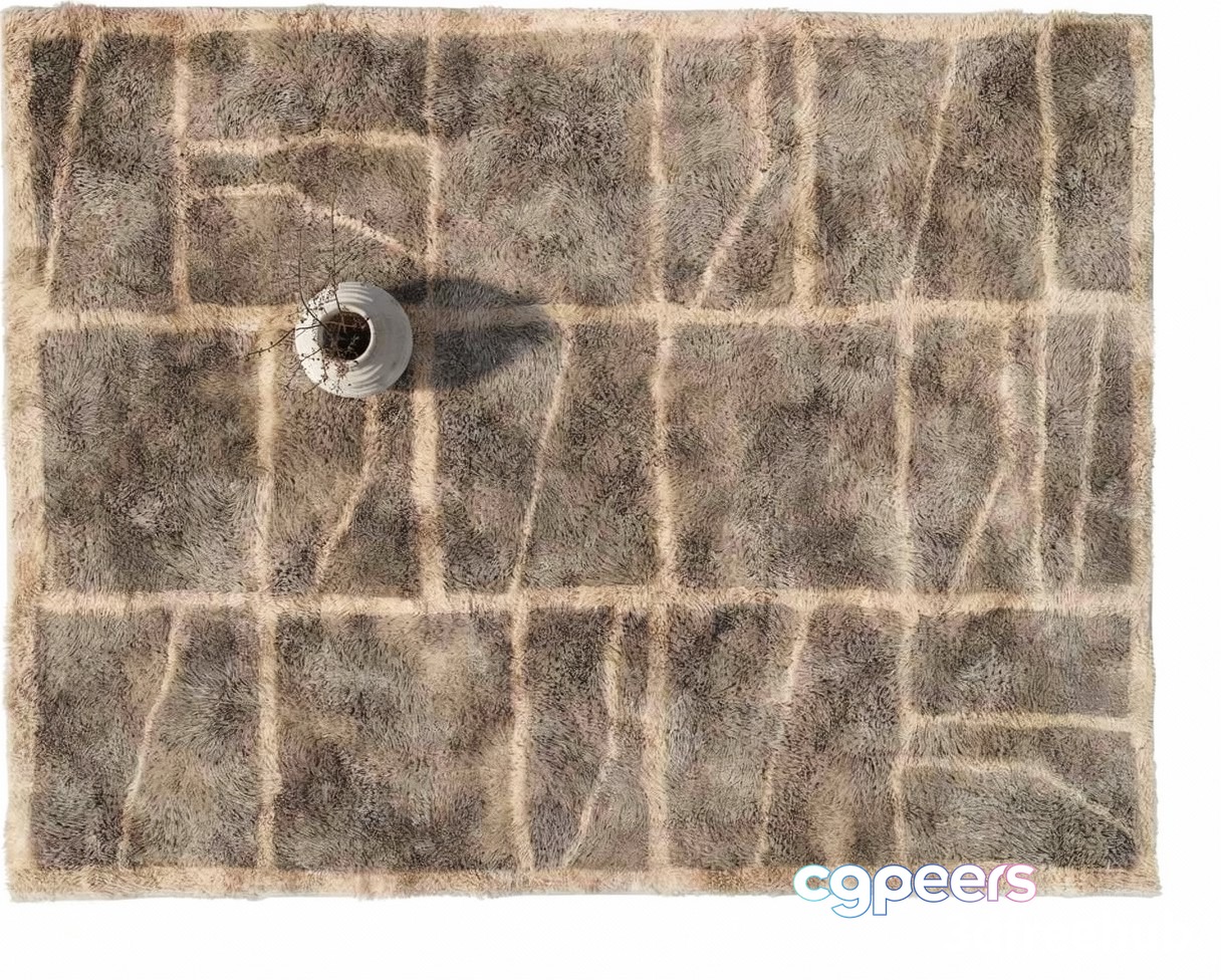 A Fuzzy Rug With A Geometric Pattern 3D Model - 22648 - VRAY Render