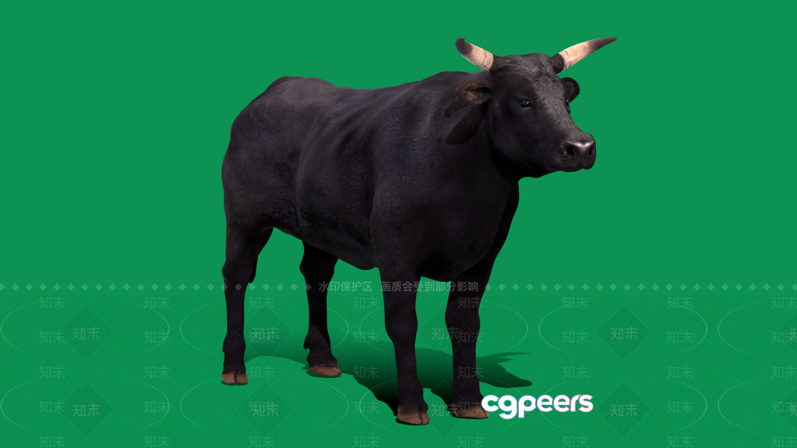 A Black Bull With Tan Horns 3D Model - 3191 - VRAY Render