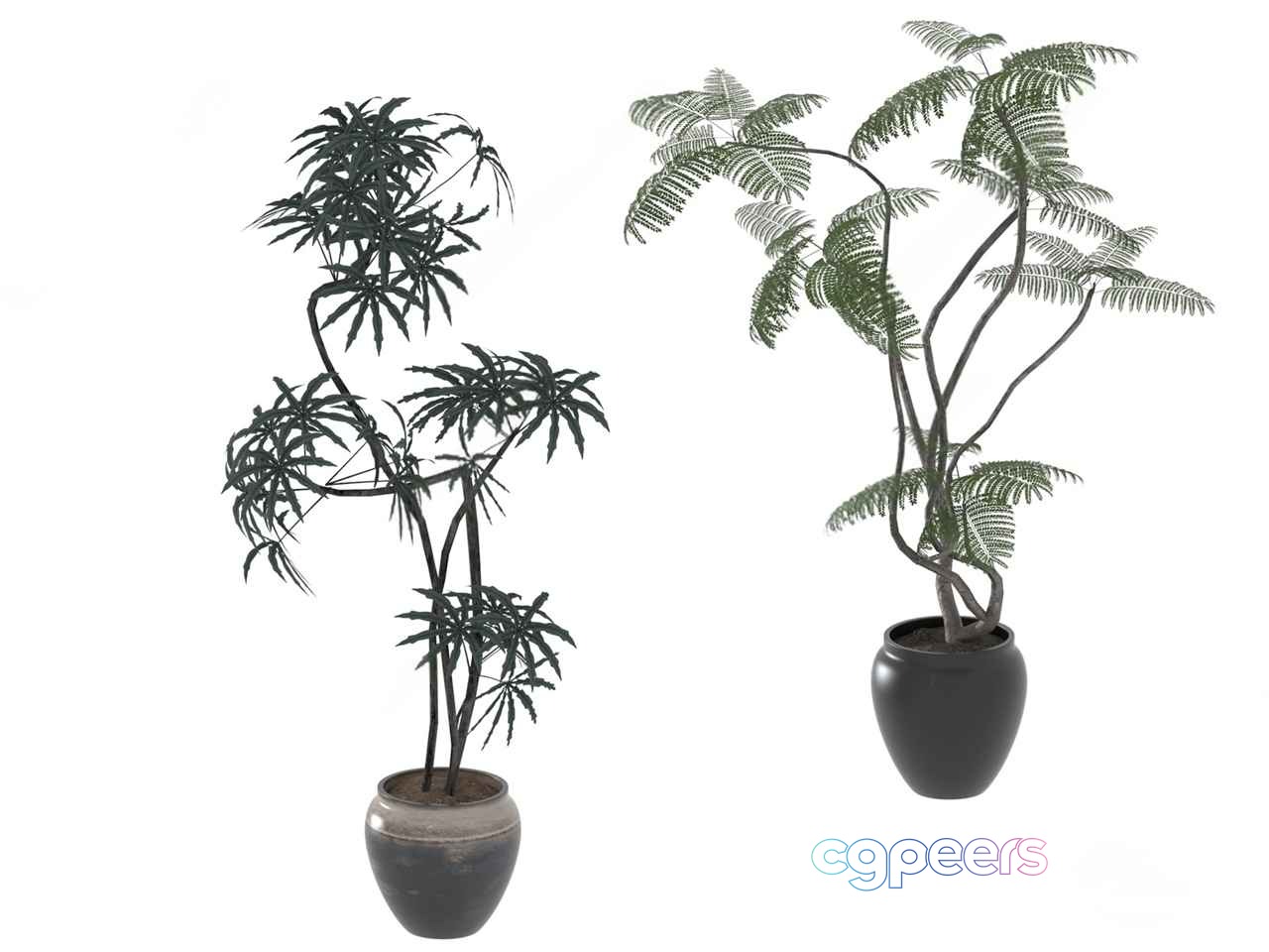 Two Potted Plants 3D Model - 2190 - VRAY Render