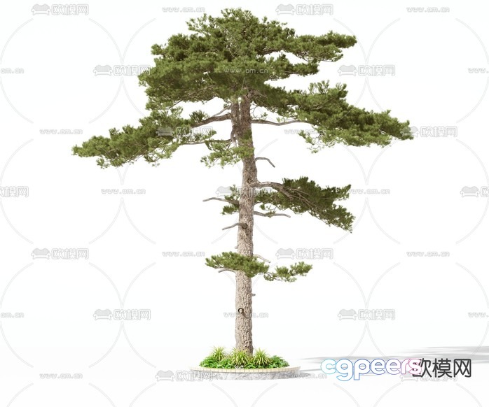 A Tree With Green Leaves 3D Model - 20071 - VRAY Render
