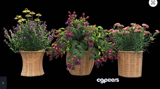 Three Woven Baskets 3D Model - 16550 - VRAY Render