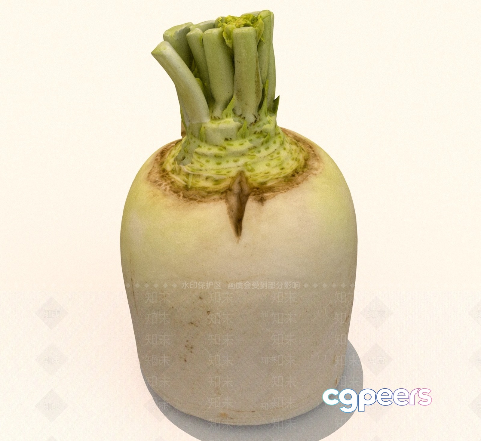 A White Vegetable 3D Model - 12761 - VRAY Render A White Vegetable 3D Model - 12761 - VRAY Render