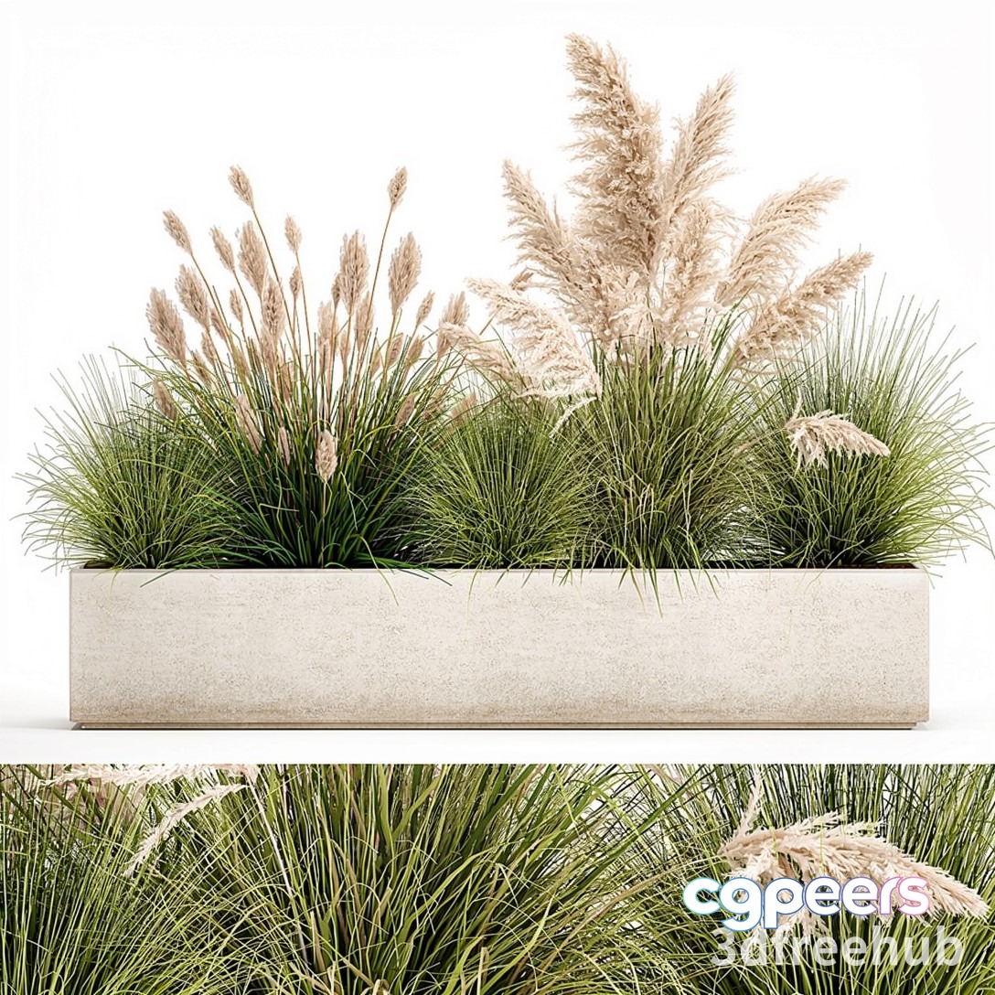 A Rectangular Planter With Grasses 3D Model - 20903 - VRAY Render A Rectangular Planter With Grasses 3D Model - 20903 - VRAY Render