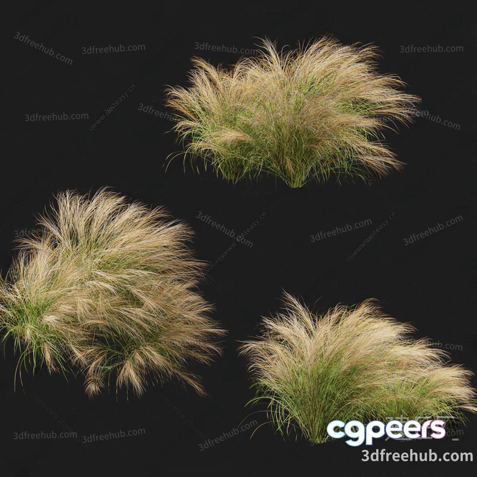 Tall Grass In A Field 3D Model - 18686 - VRAY Render