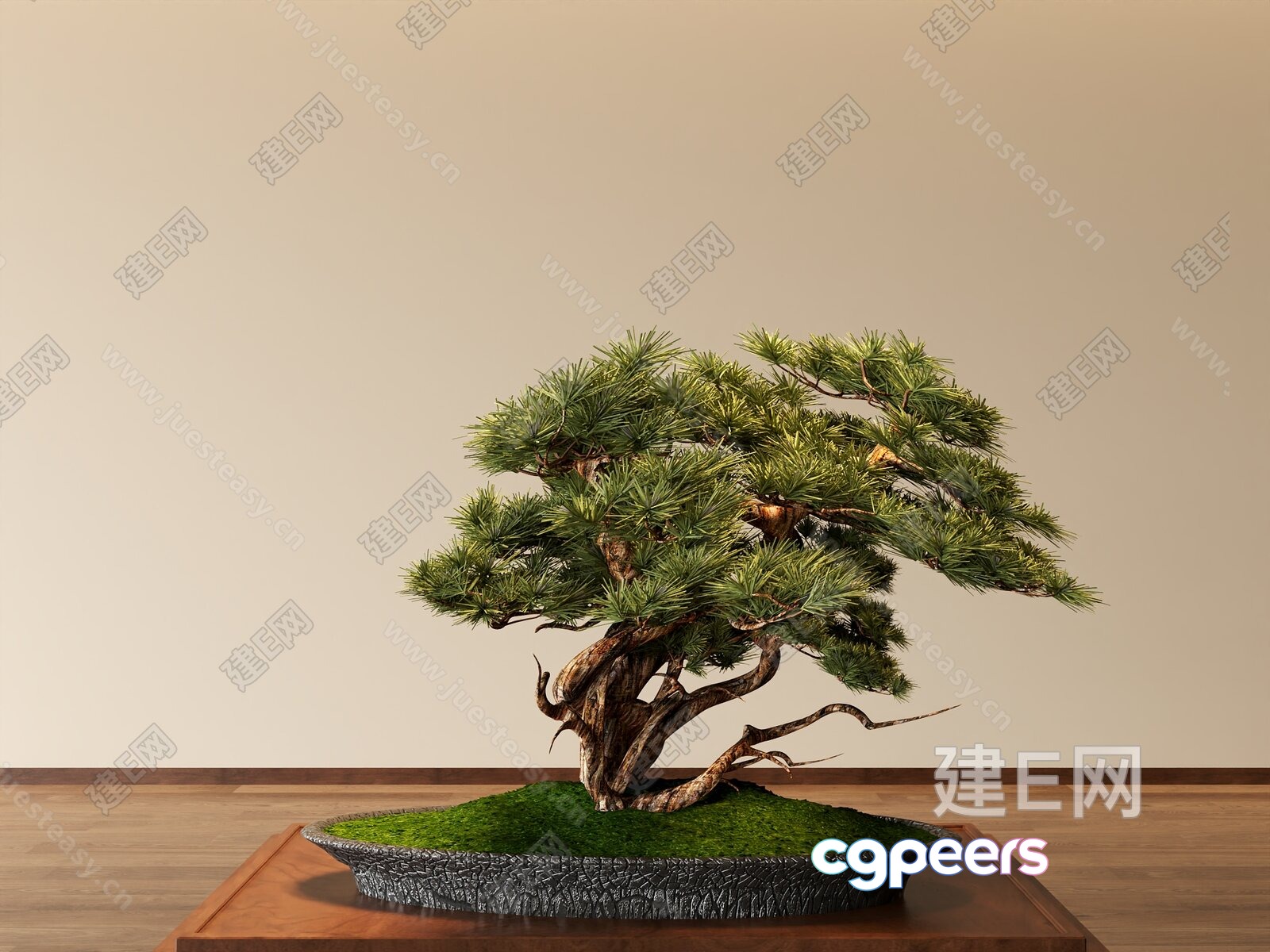 A Bonsai Tree 3D Model - 21357 - VRAY Render A Bonsai Tree 3D Model - 21357 - VRAY Render