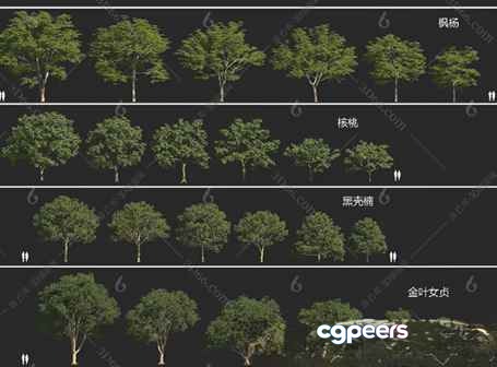 Trees With Green Leaves 3D Model - 10446 - VRAY Render Trees With Green Leaves 3D Model - 10446 - VRAY Render