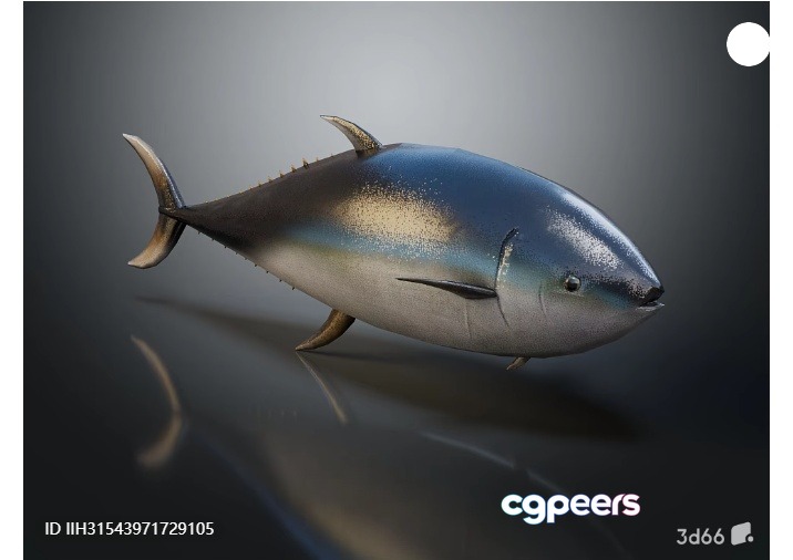 3D Model Of A Fish 3D Model - 8943 - VRAY Render