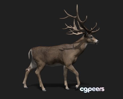 3D Game Assets - Realistic Deer 3D Model 2.0 3D Game Assets - Realistic Deer 3D Model 2.0
