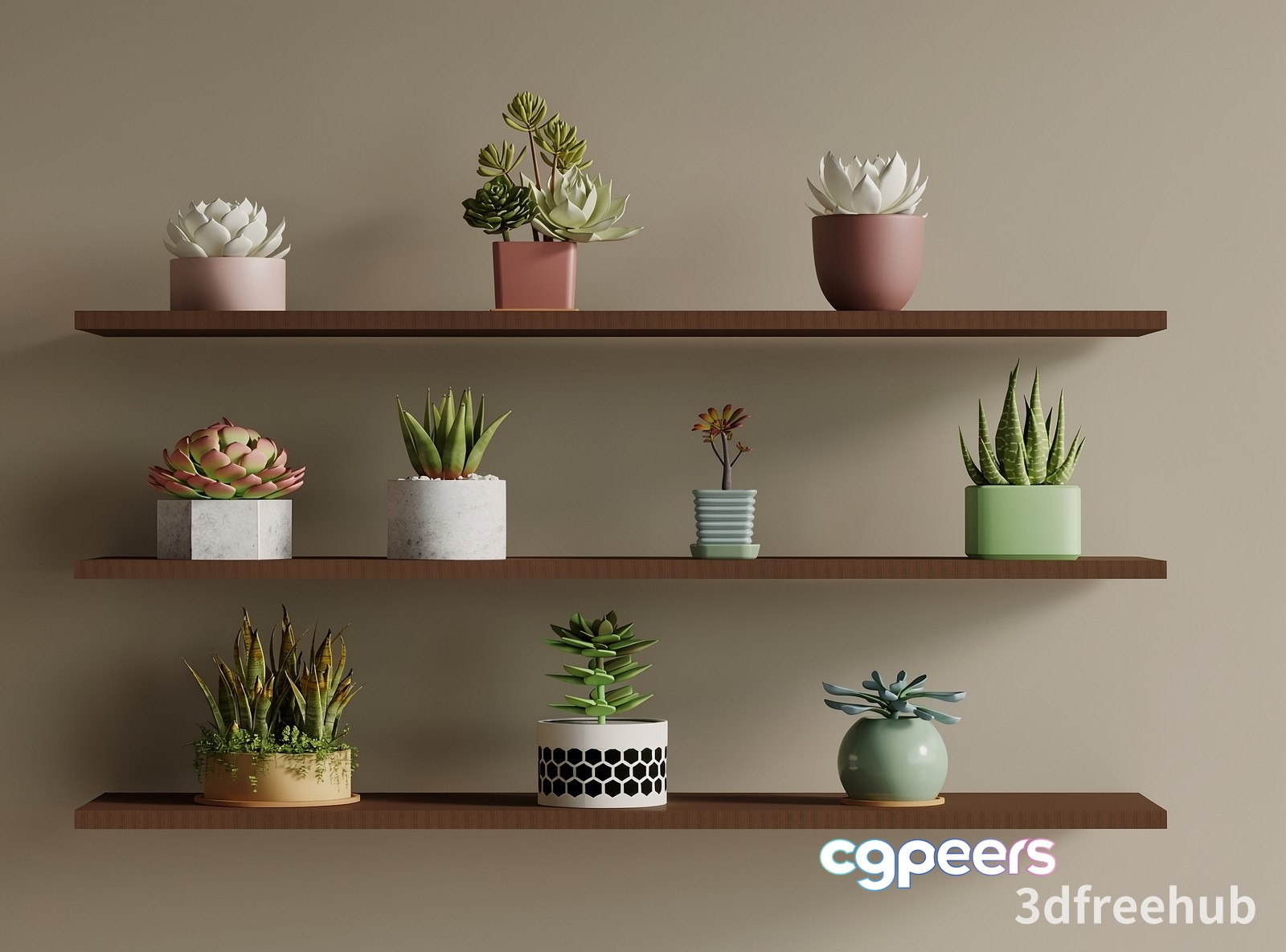 Succulent Plants On Shelves 3D Model - 22926 - VRAY Render