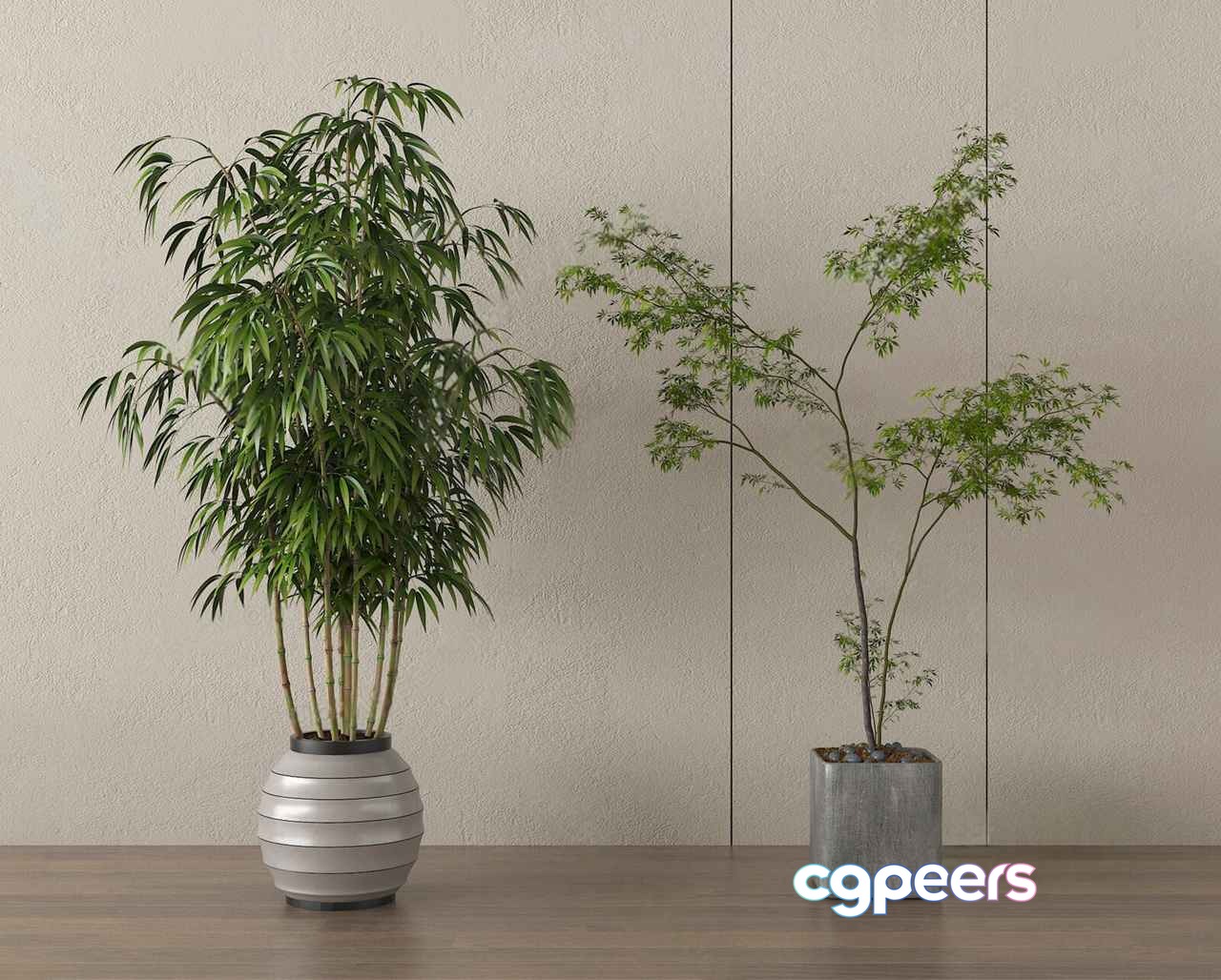 Two Potted Plants 3D Model - 20680 - VRAY Render