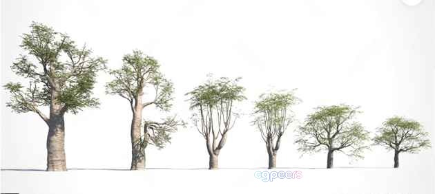 Trees With Green Leaves 3D Model - 9958 - VRAY Render