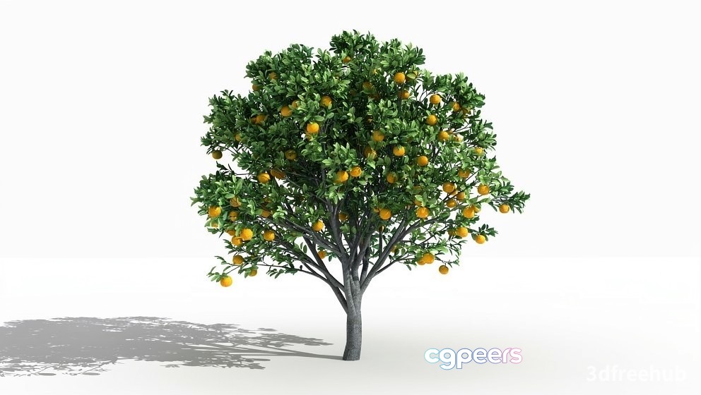 A Tree With Yellow Fruit 3D Model - 23243 - VRAY Render A Tree With Yellow Fruit 3D Model - 23243 - VRAY Render