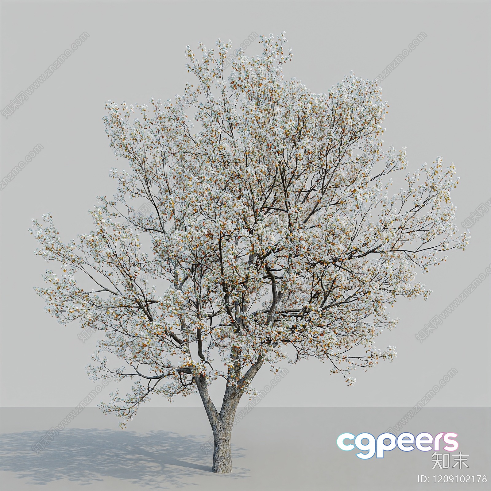 A Tree With White Flowers 3D Model - 10167 - VRAY Render A Tree With White Flowers 3D Model - 10167 - VRAY Render