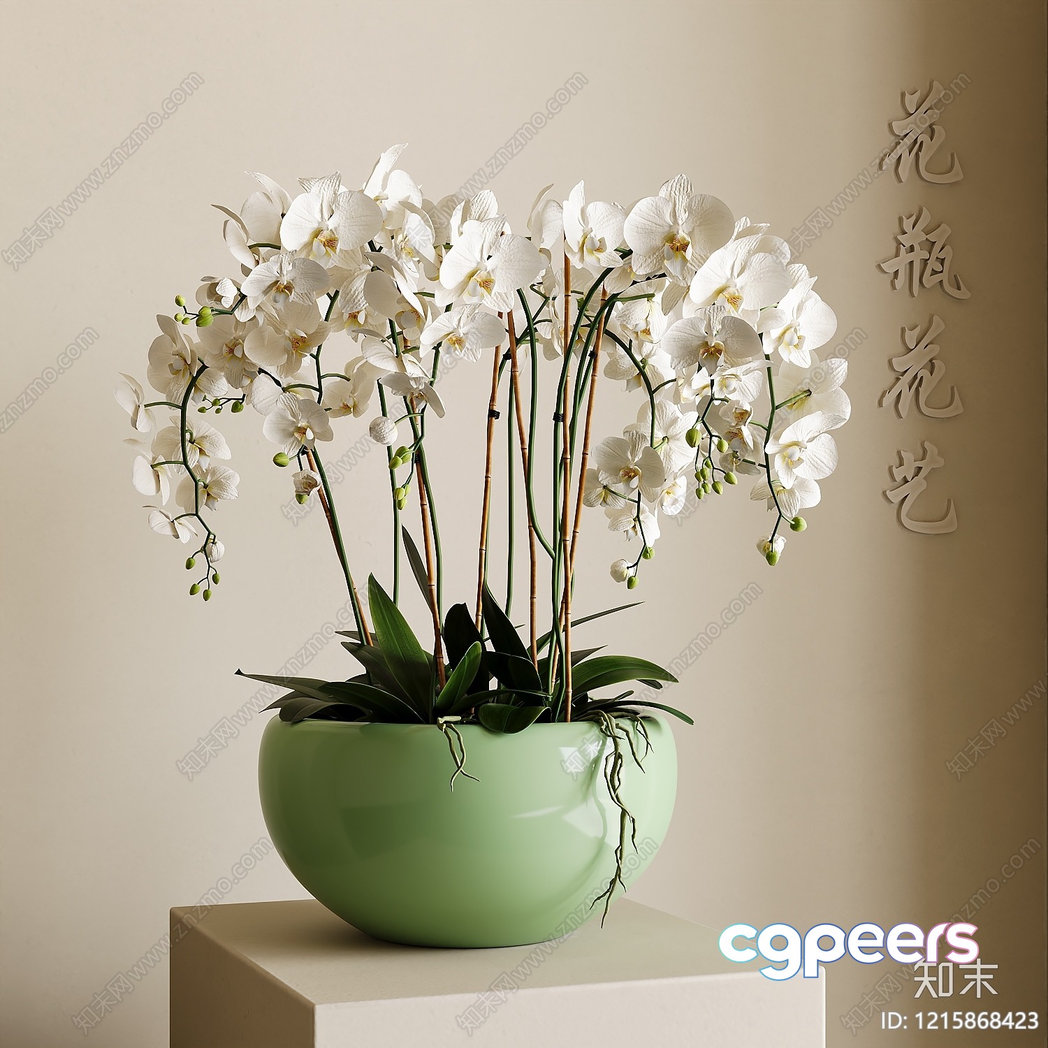 A White Orchid In A Green Pot 3D Model - 12340 - VRAY Render