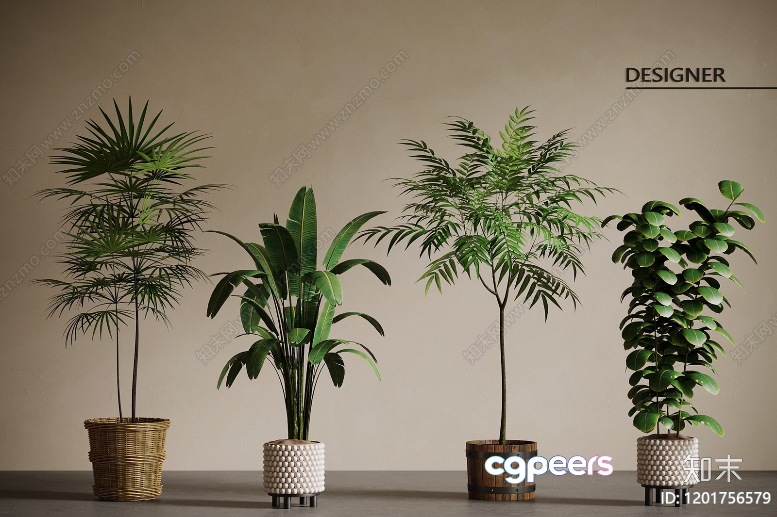 Four Indoor Plants 3D Model - 9247 - VRAY Render