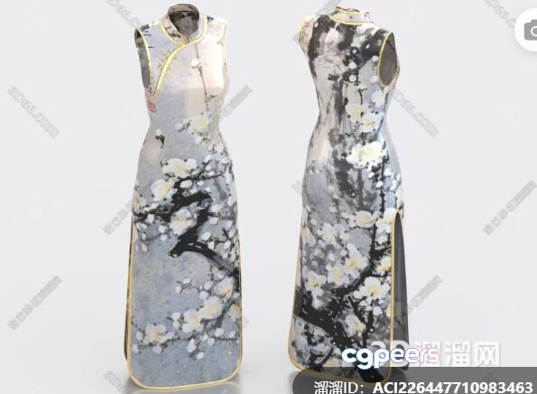 A Long Sleeveless Dress With A Floral Pattern 3D Model - 15421 - VRAY Render