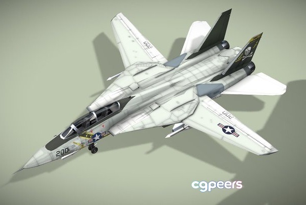 3D Game Assets - Grumman F 14 Tomcat 3D Game Assets - Grumman F 14 Tomcat