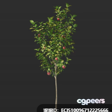 A Tree With Fruit 3D Model - 4196 - VRAY Render