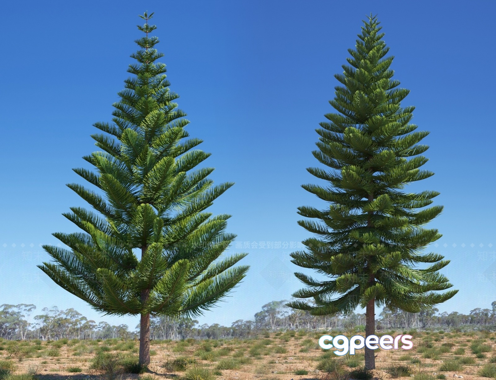 Two Trees 3D Model - 16107 - VRAY Render Two Trees 3D Model - 16107 - VRAY Render