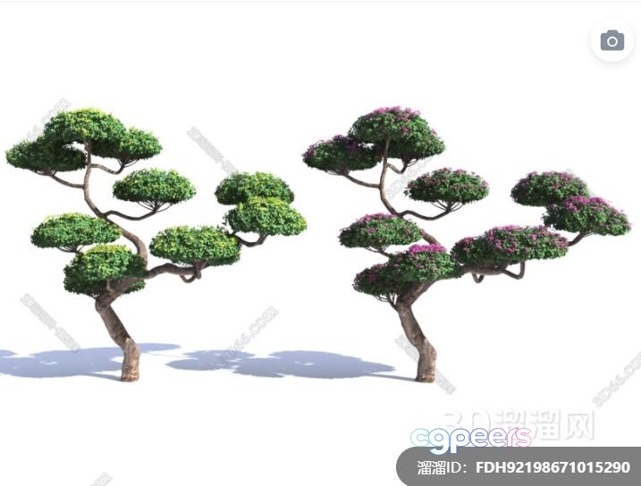 Two Trees With Green Leaves 3D Model - 7397 - VRAY Render