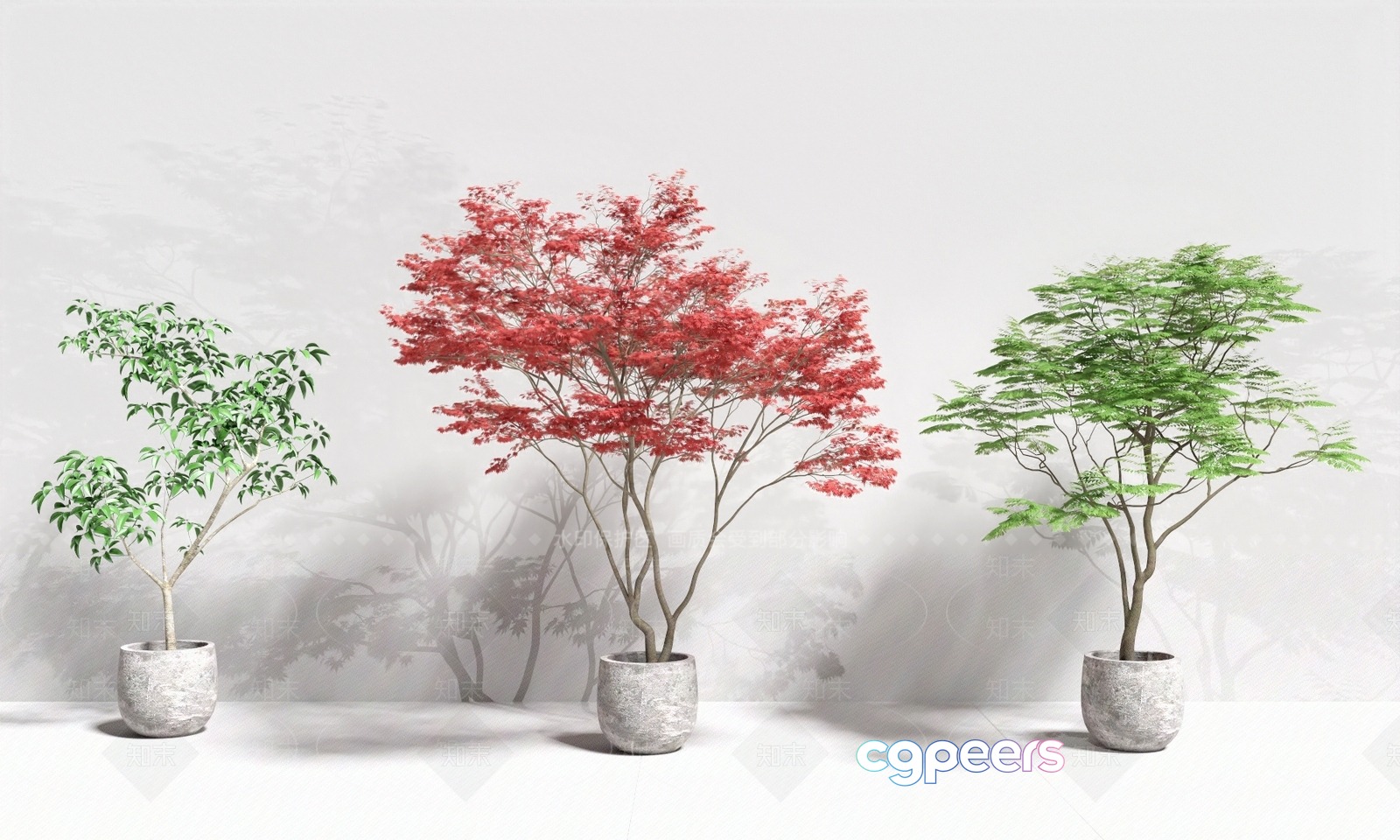 A Potted Tree With Red Leaves 3D Model - 18192 - VRAY Render