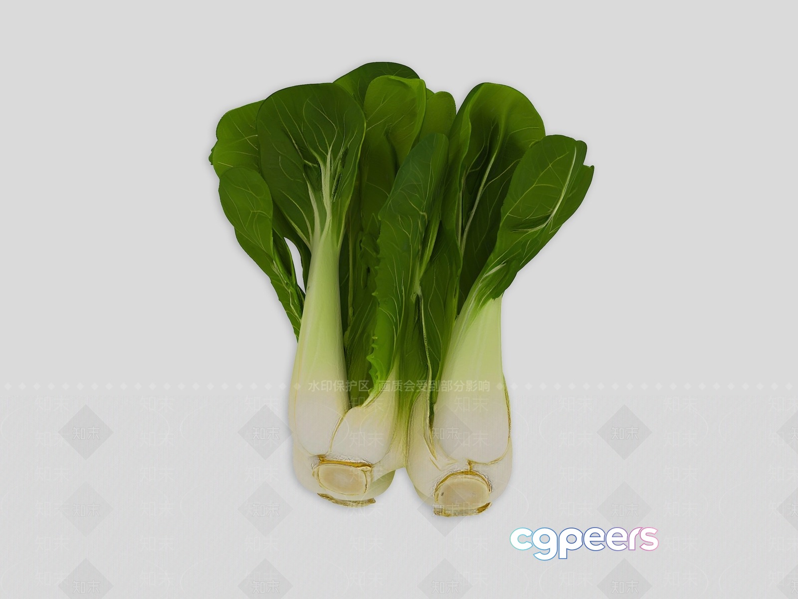 A Bunch Of Green And White Vegetables 3D Model - 16039 - VRAY Render A Bunch Of Green And White Vegetables 3D Model - 16039 - VRAY Render