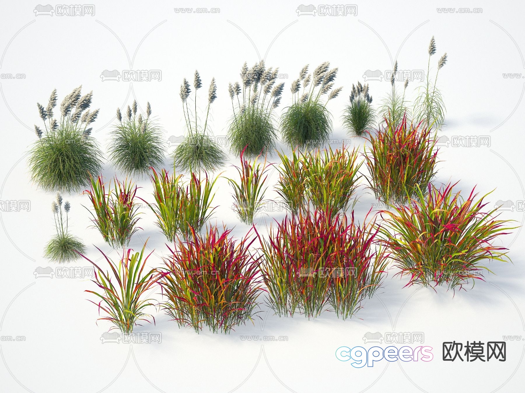 A Collection Of Grasses 3D Model - 18826 - VRAY Render