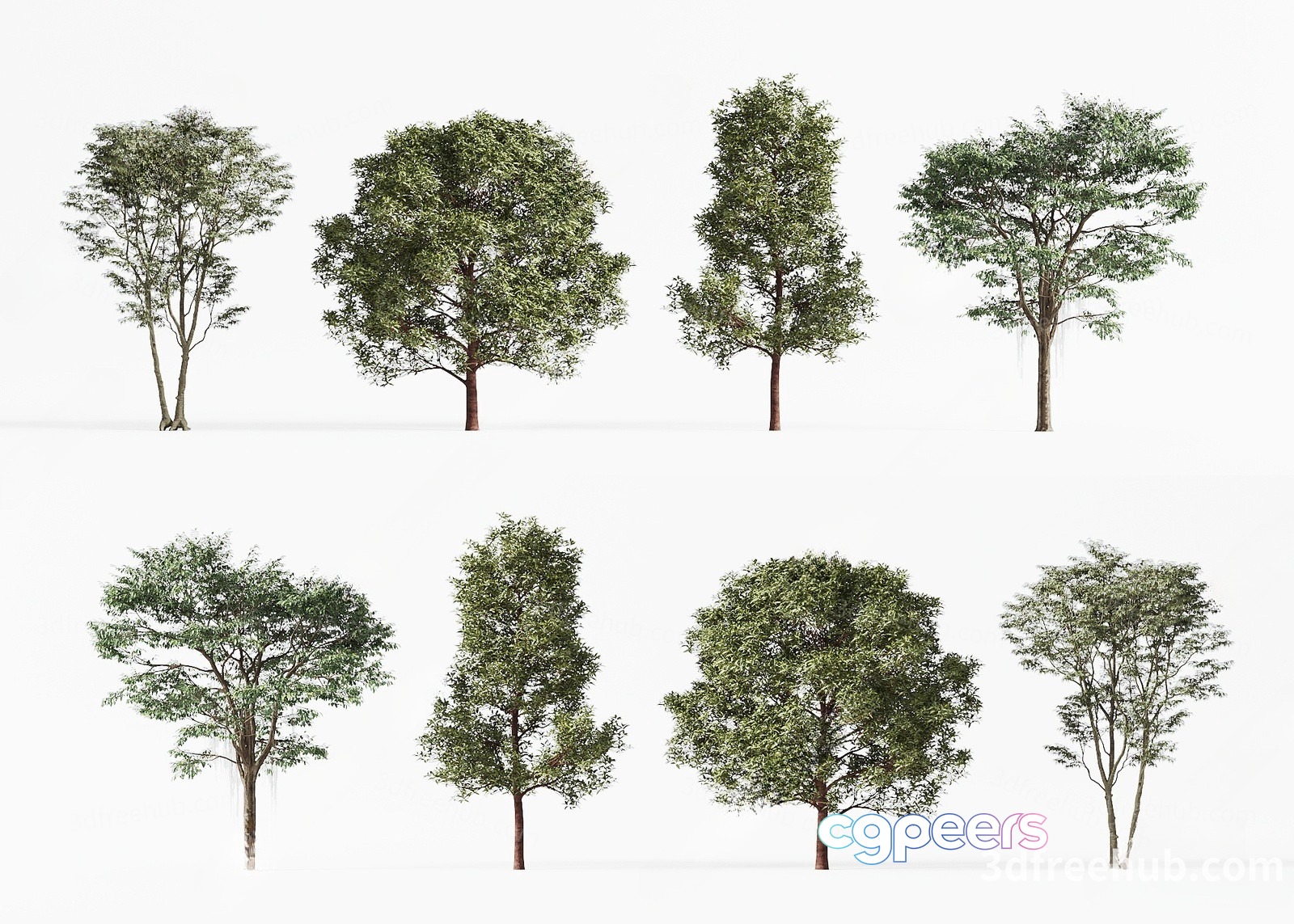 Trees. The Trees Are Green 3D Model - 22567 - VRAY Render Trees. The Trees Are Green 3D Model - 22567 - VRAY Render