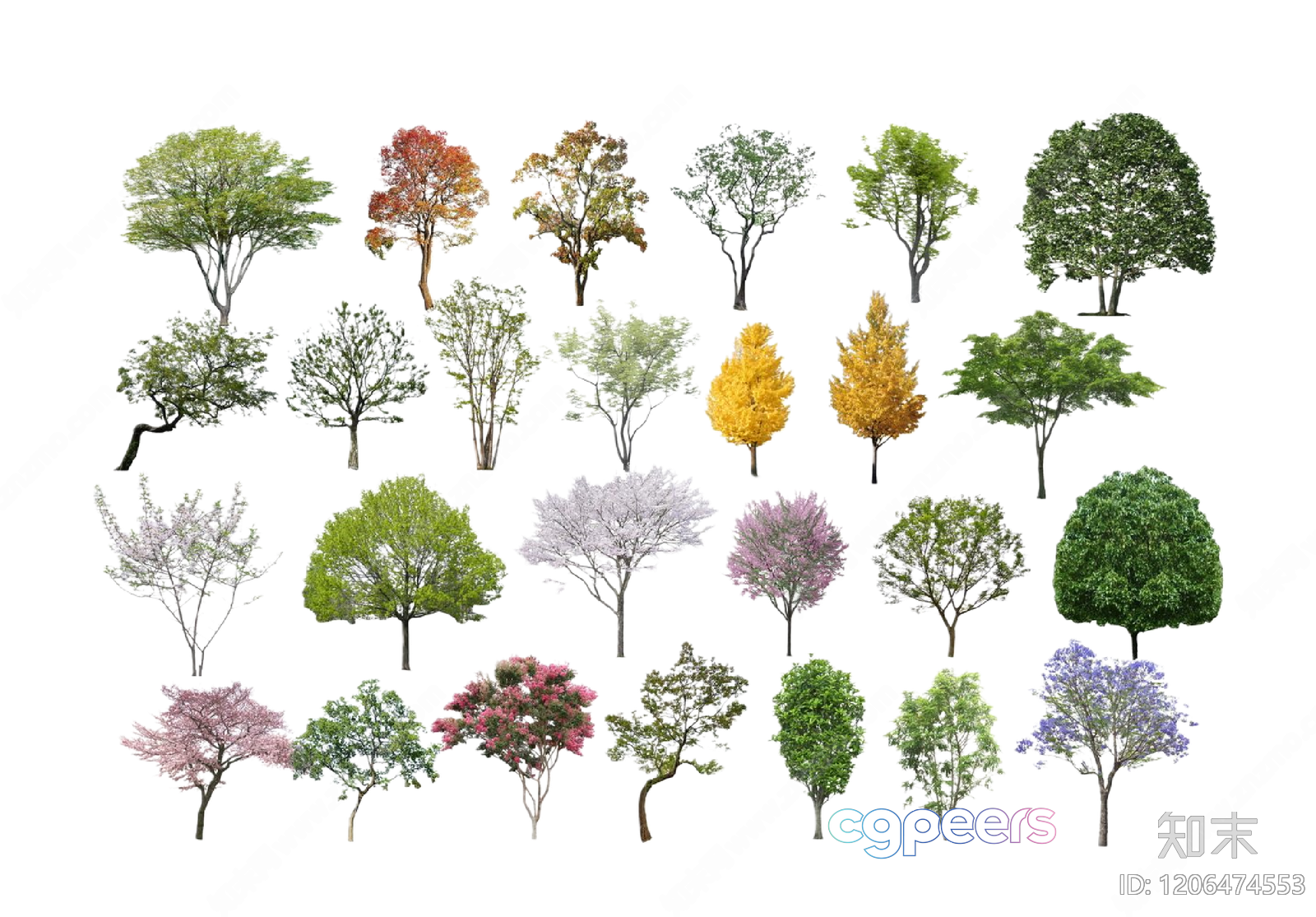 Tree Silhouettes 3D Model - 11379 - VRAY Render