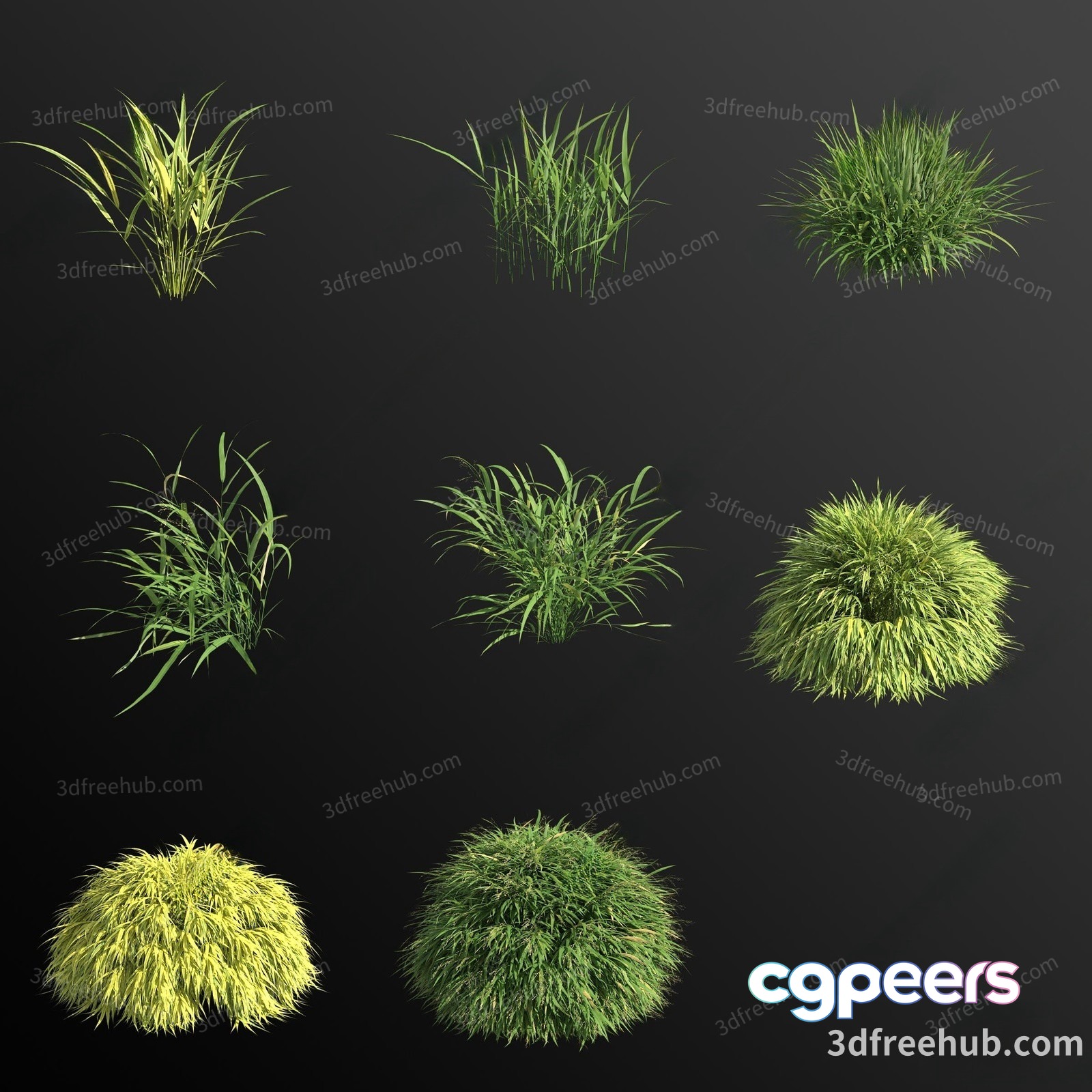 A Collection Of Grasses 3D Model - 23509 - VRAY Render