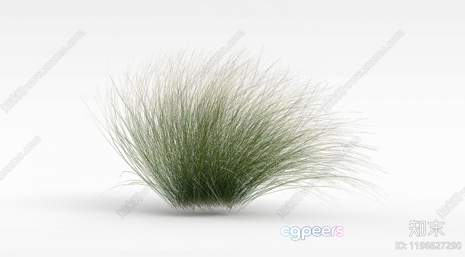 A Tuft Of Green Grass 3D Model - 11777 - VRAY Render A Tuft Of Green Grass 3D Model - 11777 - VRAY Render