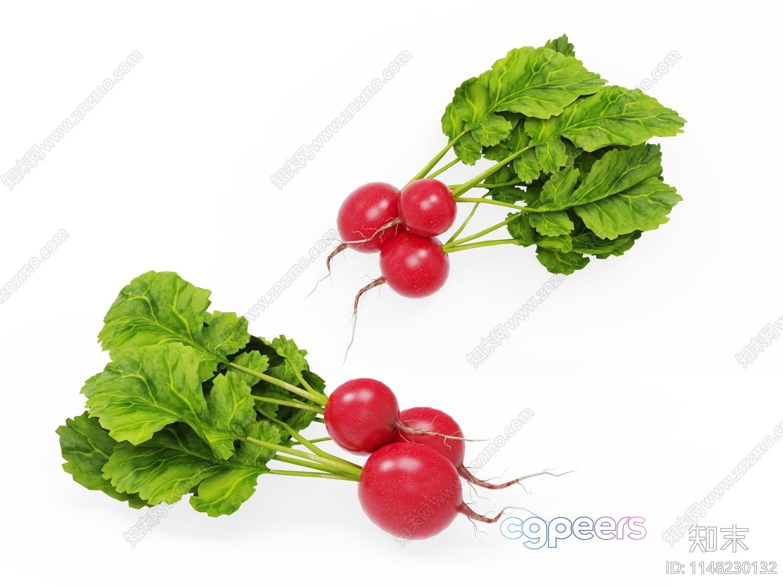 Radish Bunches 3D Model - 12728 - VRAY Render