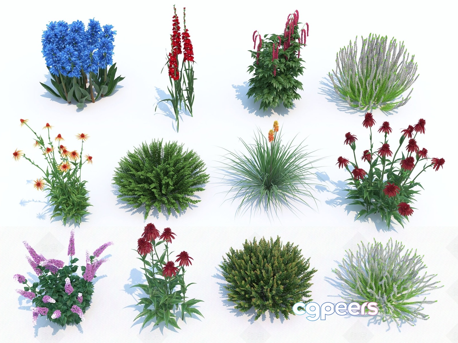 Nine Different Flowers 3D Model - 18335 - VRAY Render