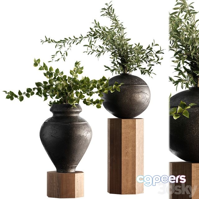 3ds Max Free - Indoor Plant Set 65 3ds Max Free - Indoor Plant Set 65
