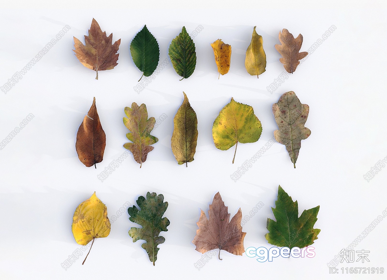 Autumn Leaves 3D Model - 9830 - VRAY Render Autumn Leaves 3D Model - 9830 - VRAY Render