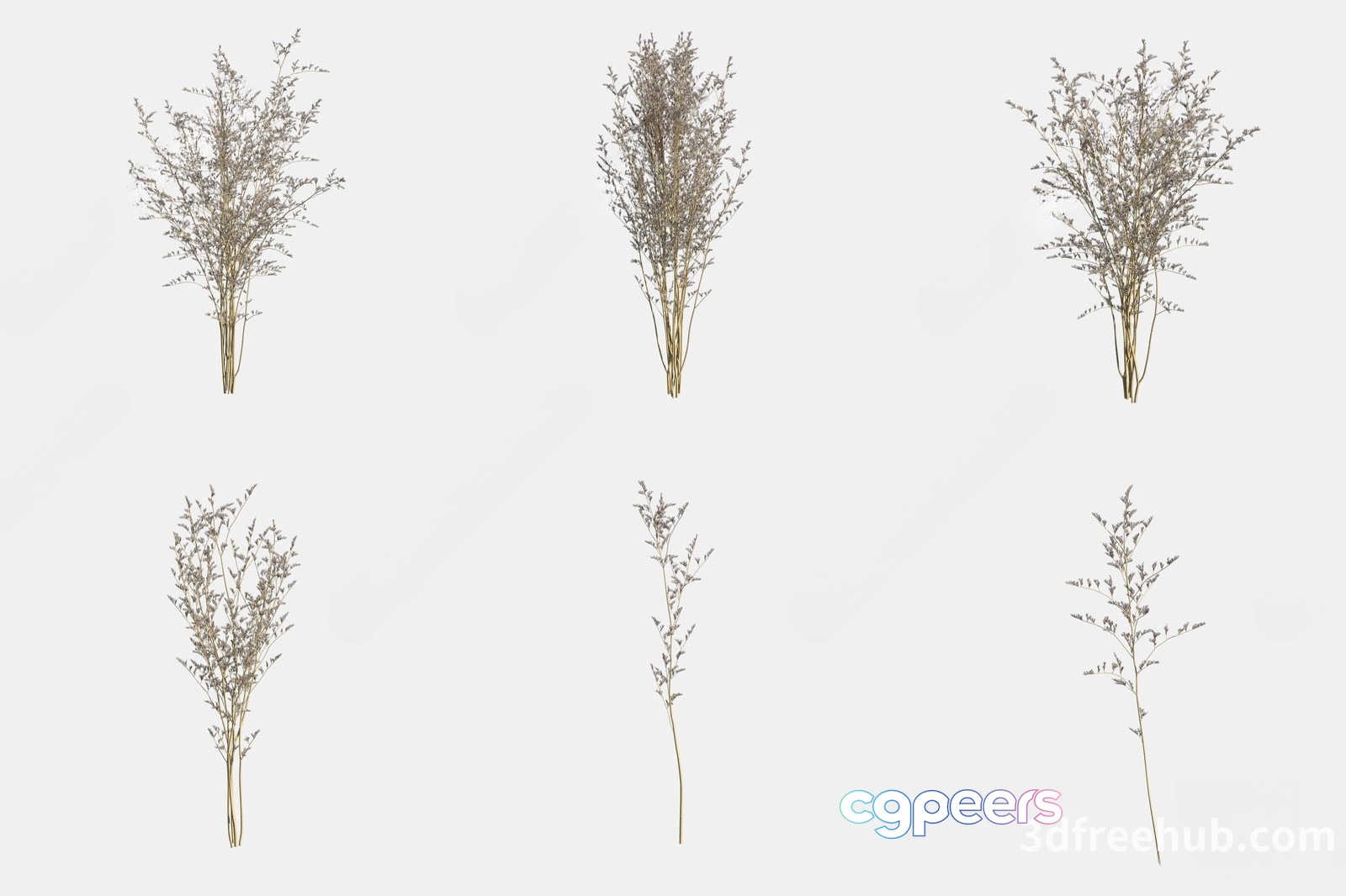 A Collection Of Dried Flowers 3D Model - 23566 - VRAY Render