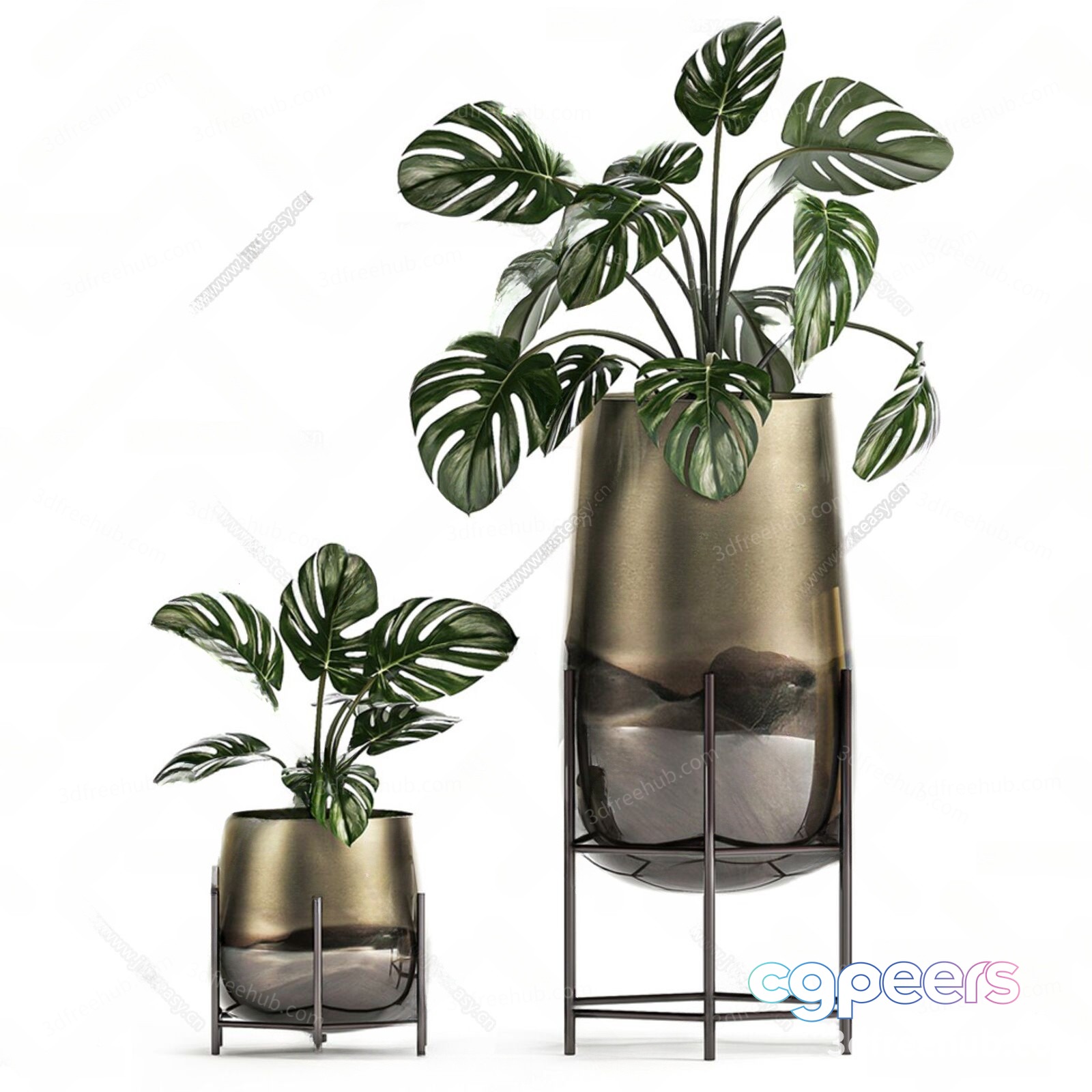 Monstera Plants In Metal Planters 3D Model - 23191 - VRAY Render