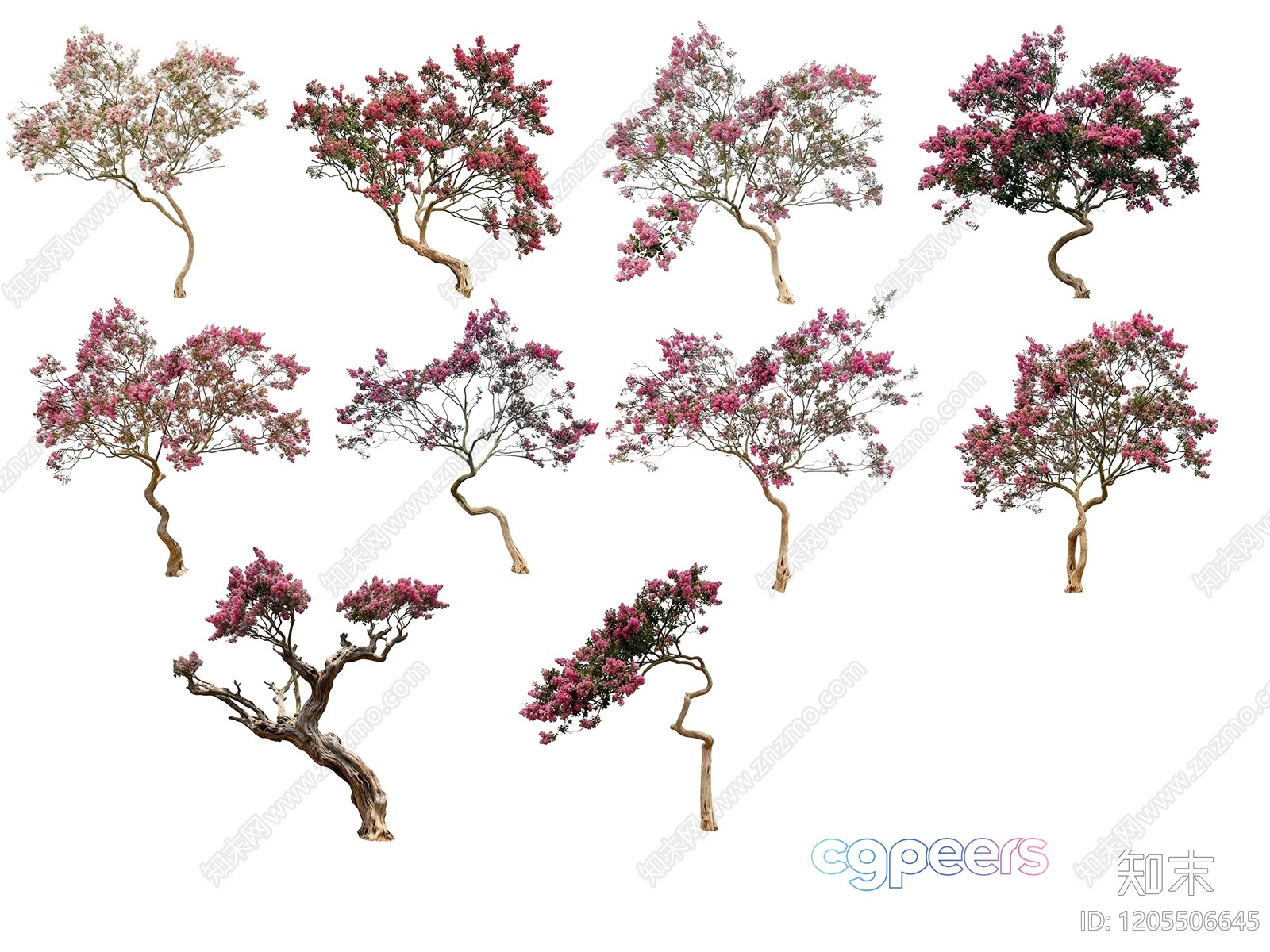 A Tree With Pink Flowers 3D Model - 11069 - VRAY Render A Tree With Pink Flowers 3D Model - 11069 - VRAY Render