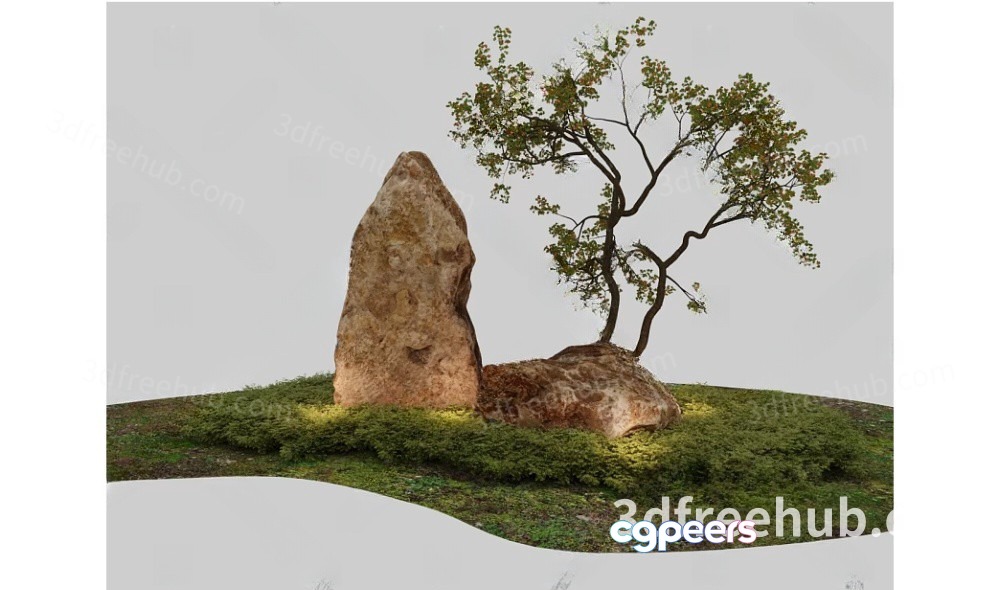 A 3D Rendering Of A Tree And Rocks 3D Model - 18765 - VRAY Render A 3D Rendering Of A Tree And Rocks 3D Model - 18765 - VRAY Render