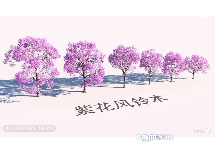 A Row Of Trees With Pink Flowers 3D Model - 8851 - VRAY Render A Row Of Trees With Pink Flowers 3D Model - 8851 - VRAY Render