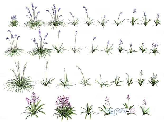 Flowers And Grass 3D Model - 18805 - VRAY Render