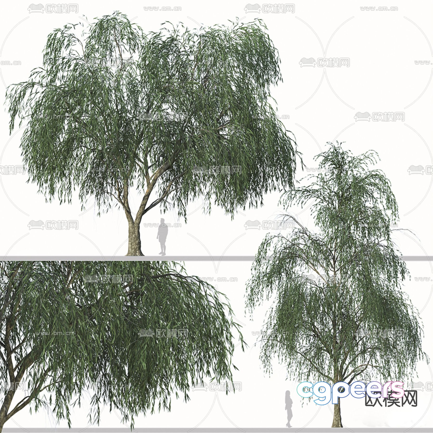 weeping willow willow big tree landscape tree 3d model weeping willow willow big tree landscape tree 3d model