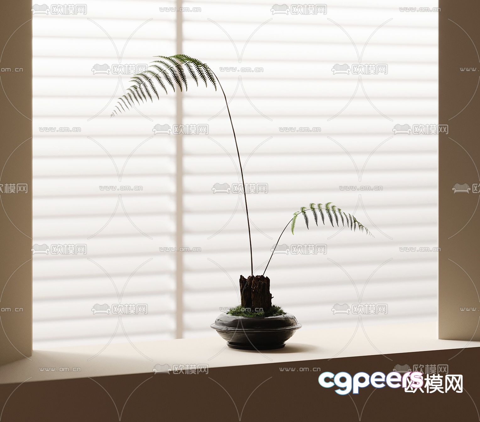 Fern potted bonsai 3d model Fern potted bonsai 3d model