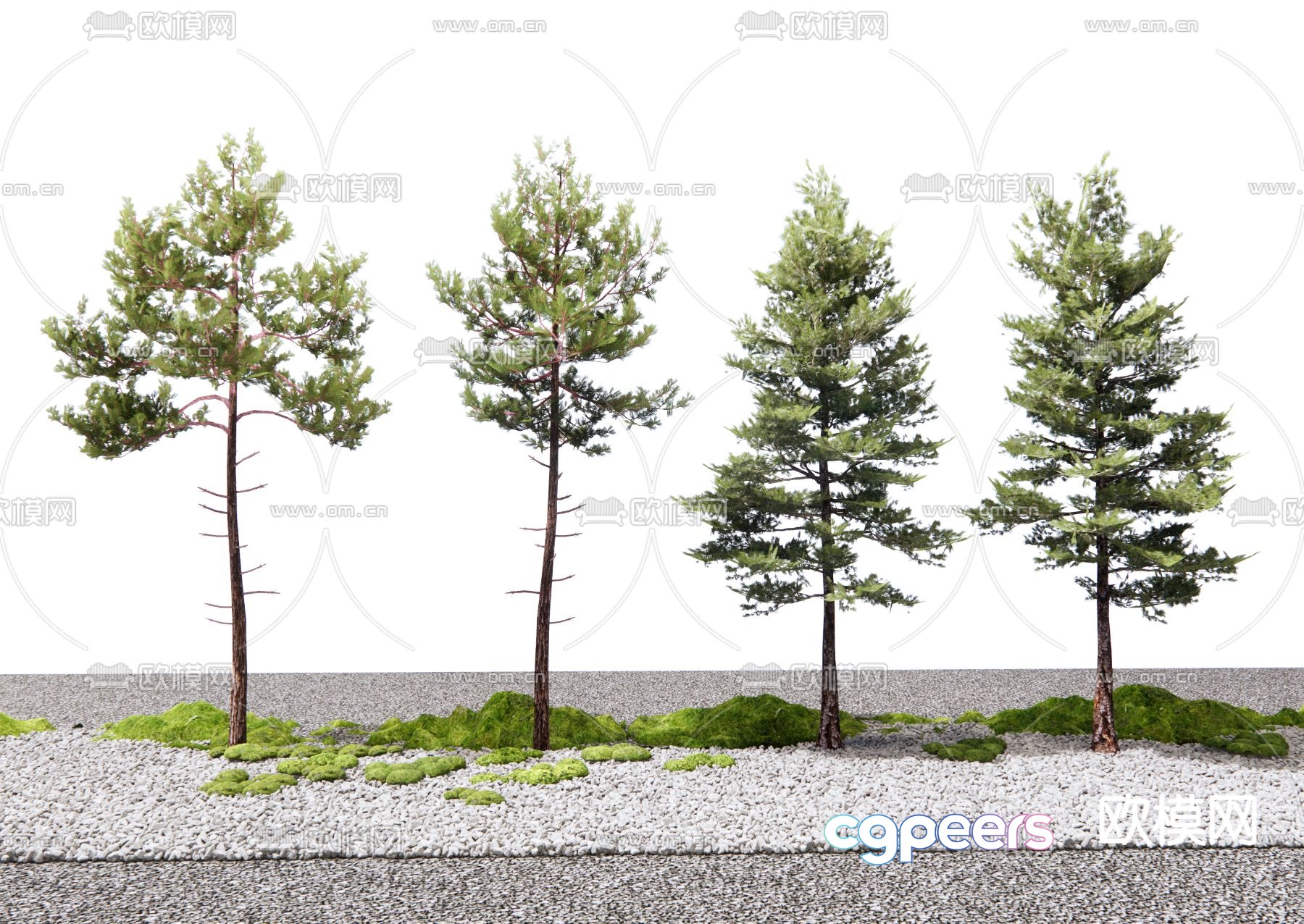 Pine Tree Landscape Tree Cedar 3D Model Pine Tree Landscape Tree Cedar 3D Model